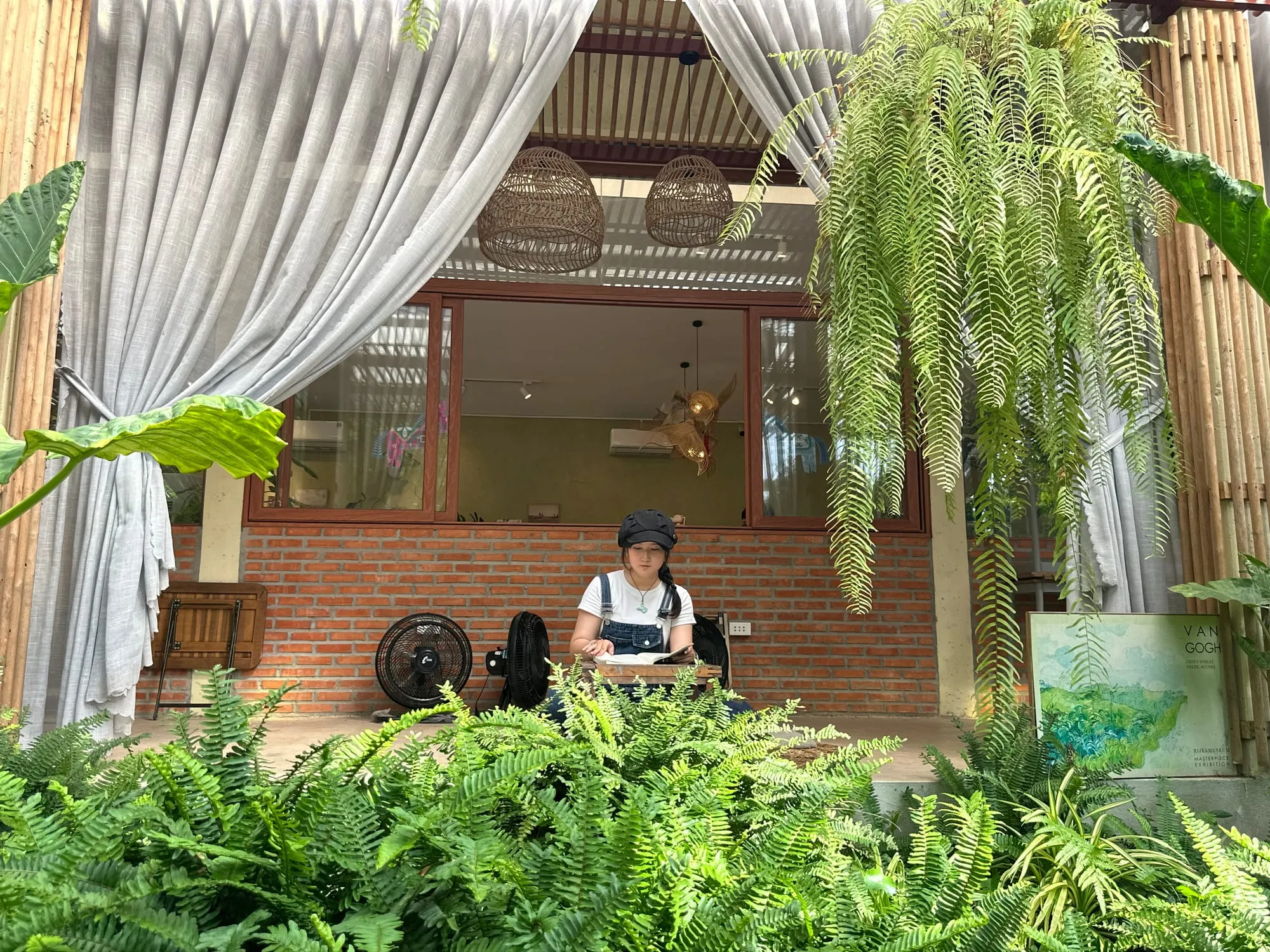 Khách thương đọc sách ở góc bệt dưới rèm và dương xỉ